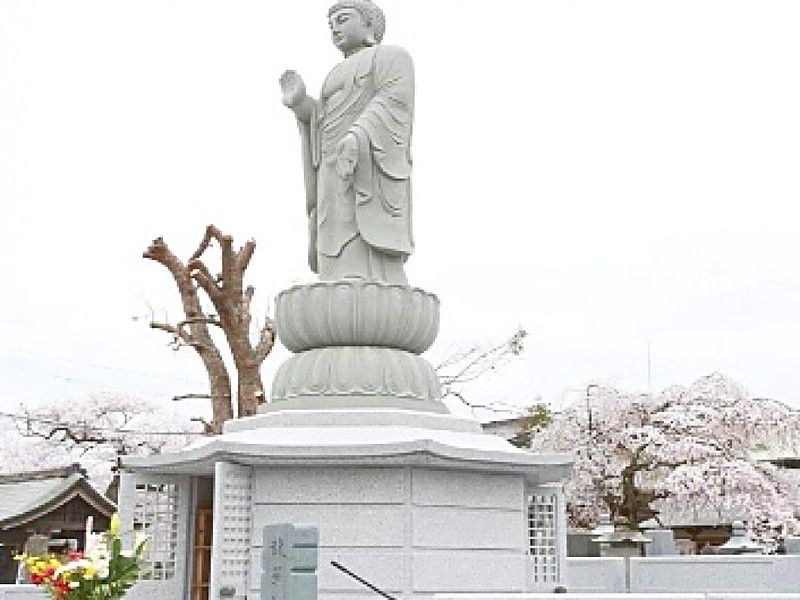 洞泉院 永代供養塔