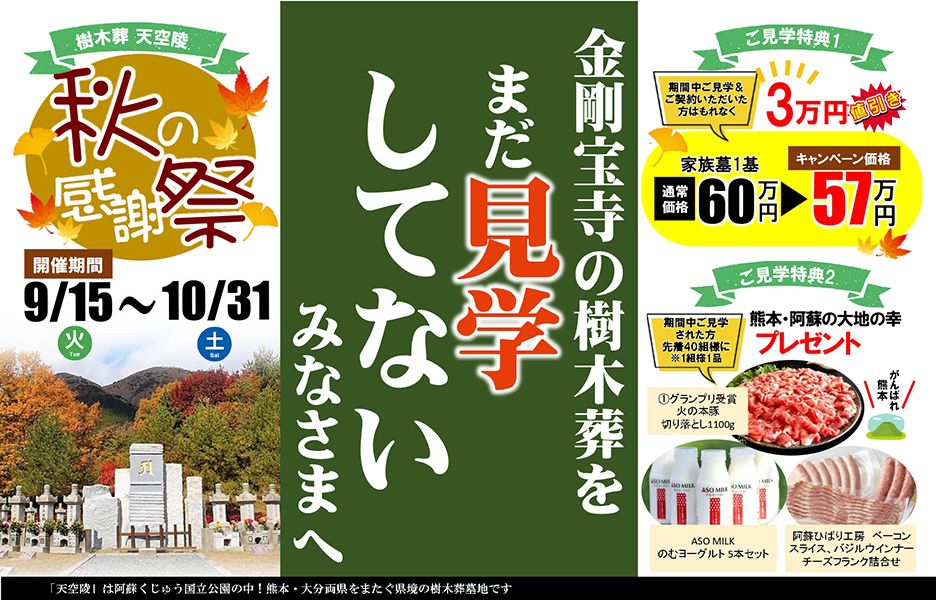 金剛宝寺 天空陵