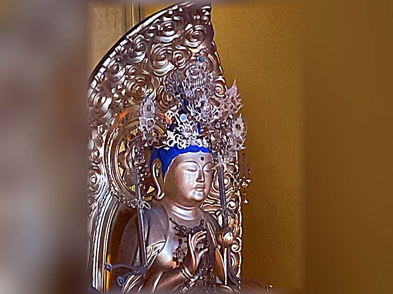 島田やすらいの樹木葬 道円寺
