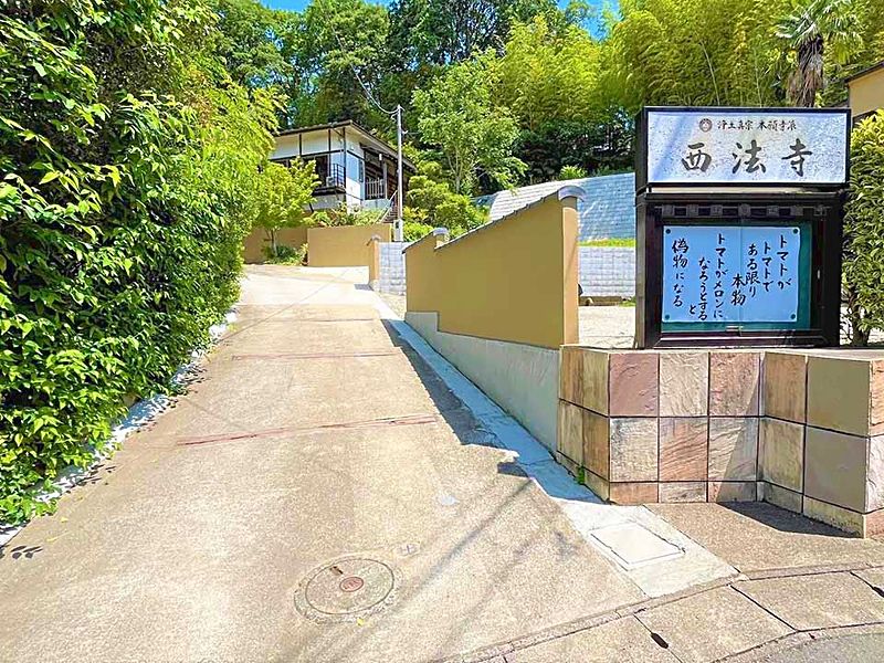 入口