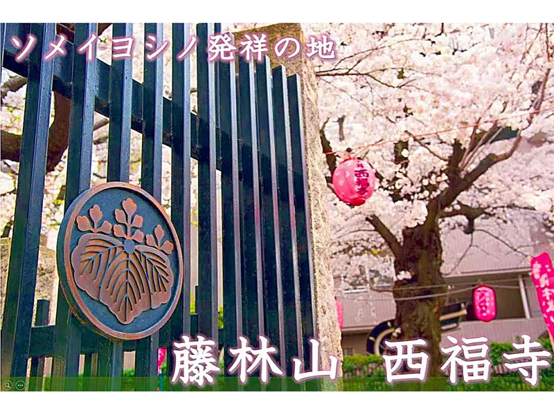 駒込駅徒歩5分、巣鴨駅から徒歩9分、いつでも気軽にお参りできます