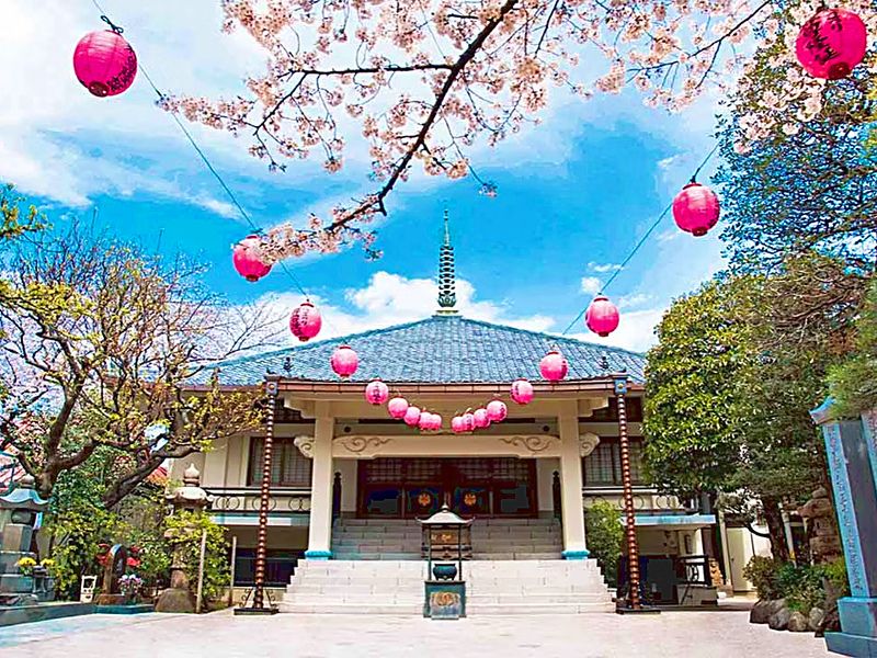 400年以上の歴史がある西福寺が永代にわたり供養・管理いたします