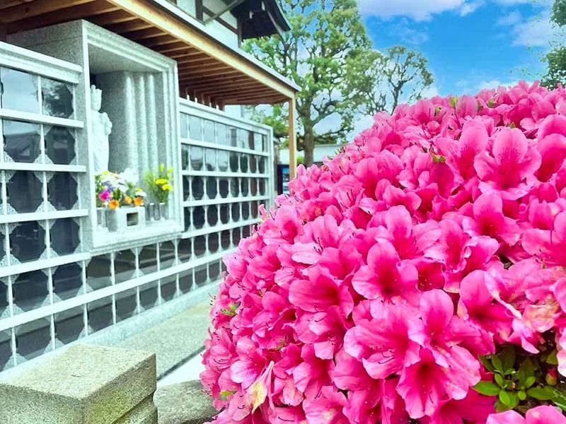 区画が完売次第終了となりますのでぜひお早めにご見学ください