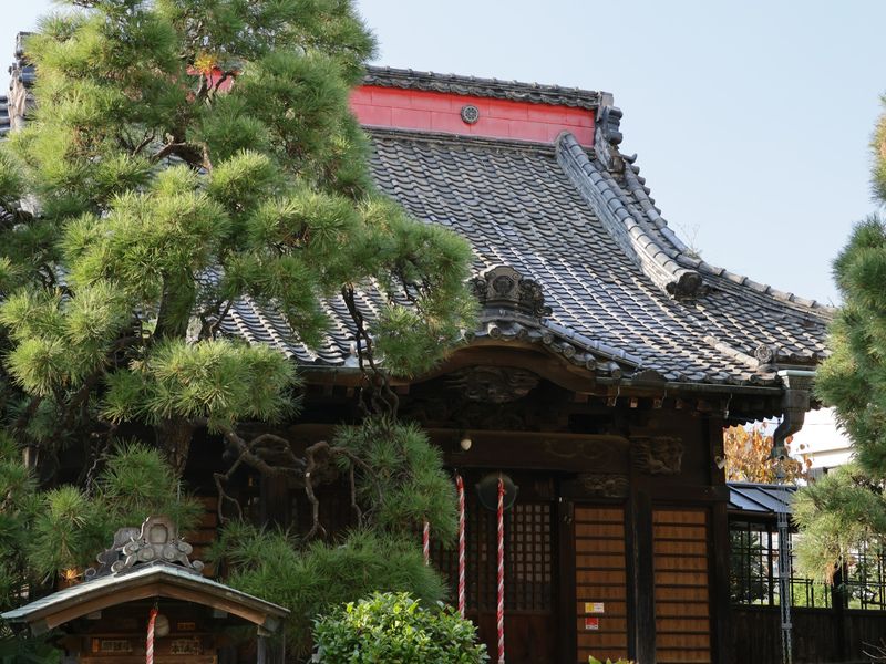 善照寺は松戸エリアの皆さまに寄り添い、長く親しまれてきたお寺です