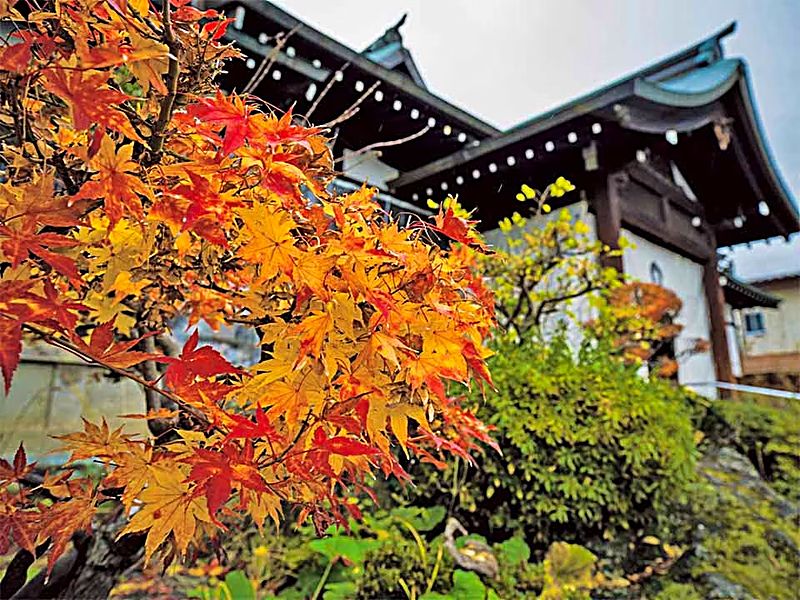 四季の花々が彩る、明るく穏やかな境内です。