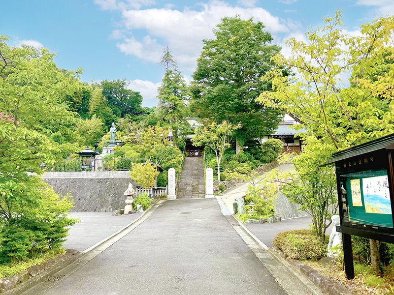 新横浜樹木葬墓地