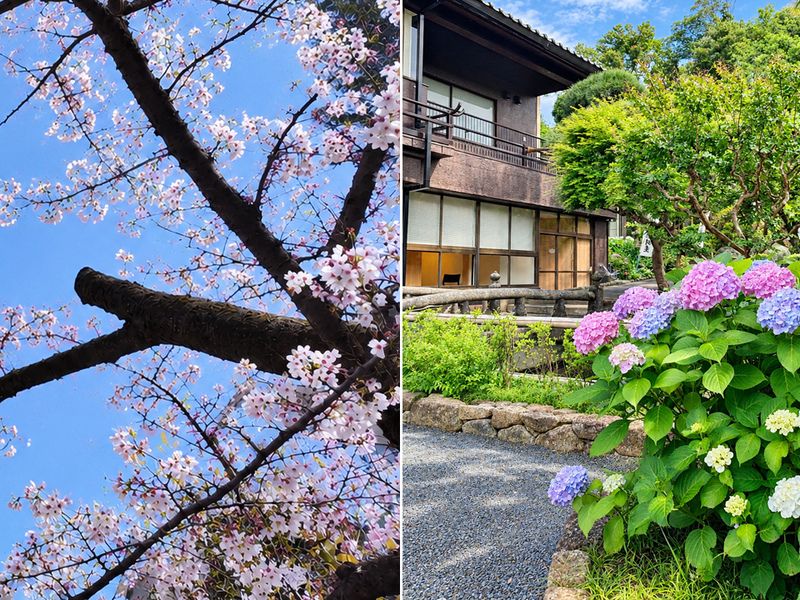 季節折々の風景