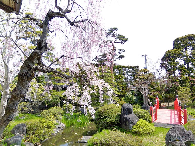 庭園