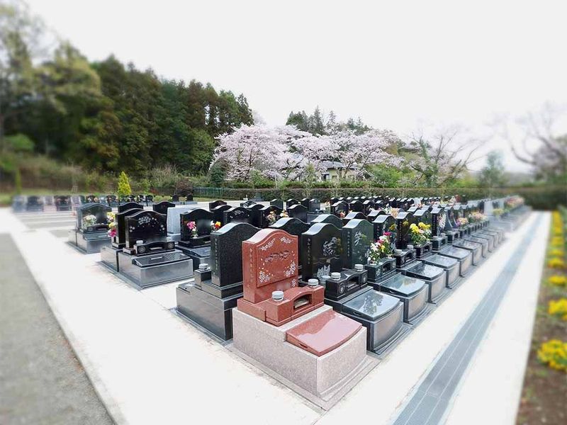 春の園内