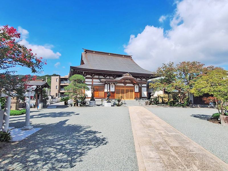 境内全景
