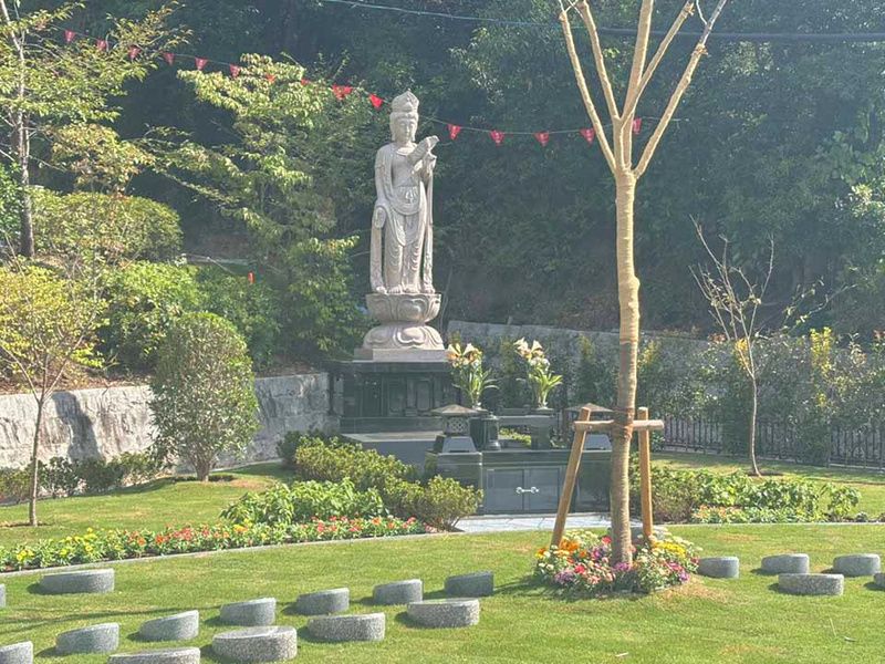 樹木葬 新区画