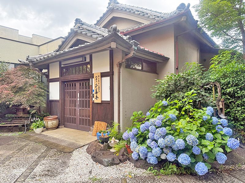 正善寺 玄関あじさい