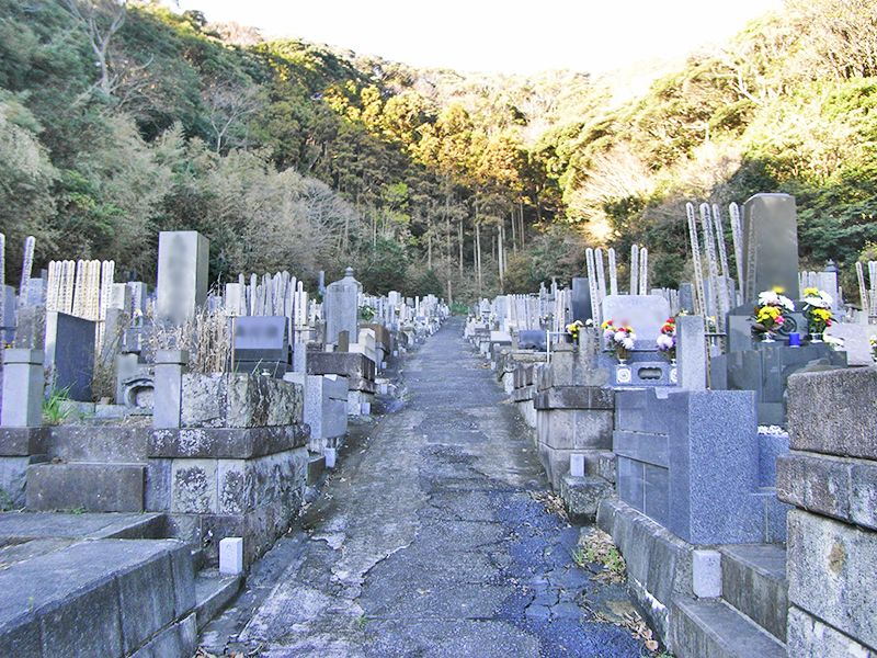 妙光寺