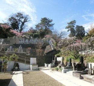 宝善院