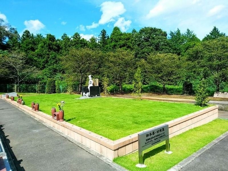 夏には緑豊かな景観となります