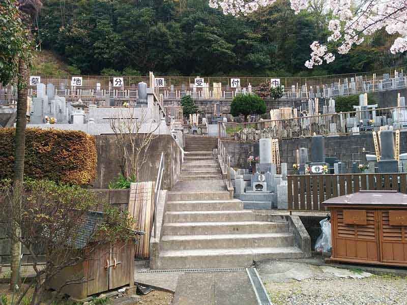 般若院　斜面に建立された墓石