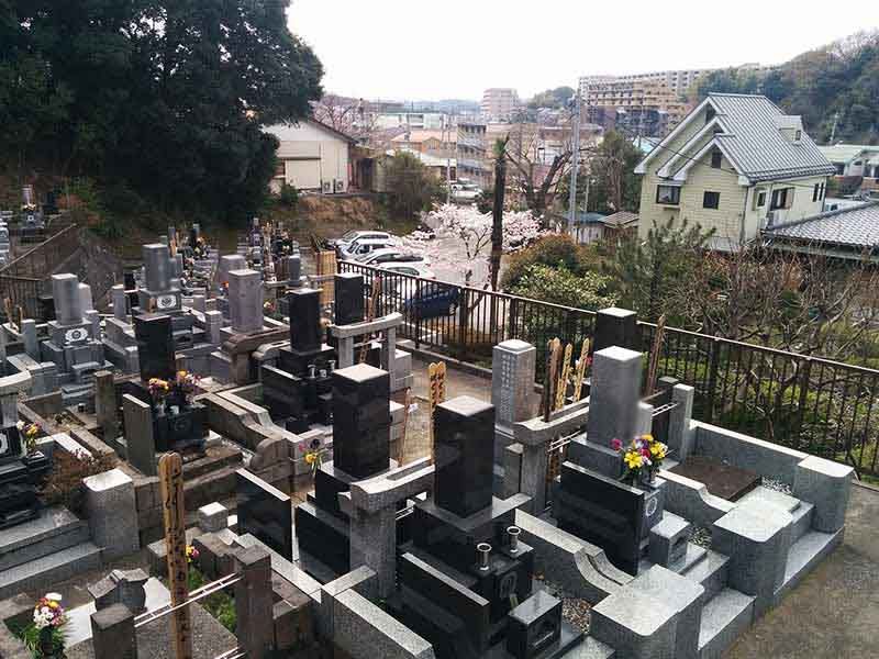 般若院　苑内全景