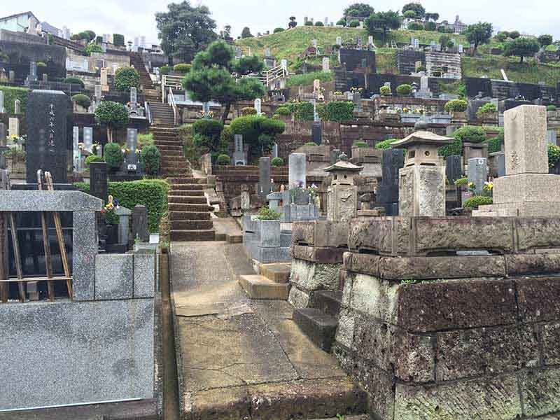 東光寺　剪定された木々