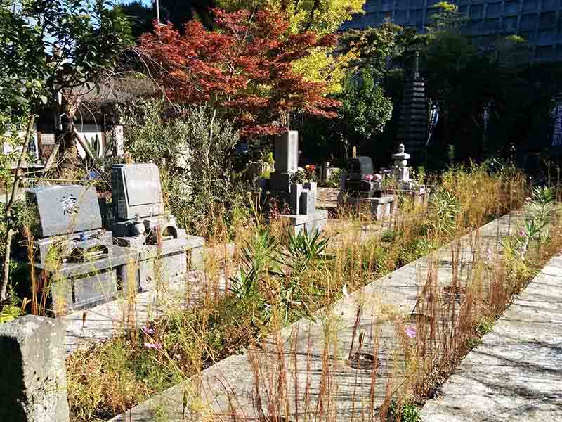 飯盛山仁王院 鎖大師青蓮寺　日当たりの良い墓域