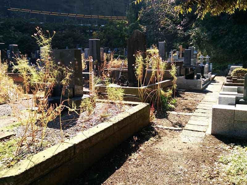 飯盛山仁王院 鎖大師青蓮寺　緑に囲まれた墓域