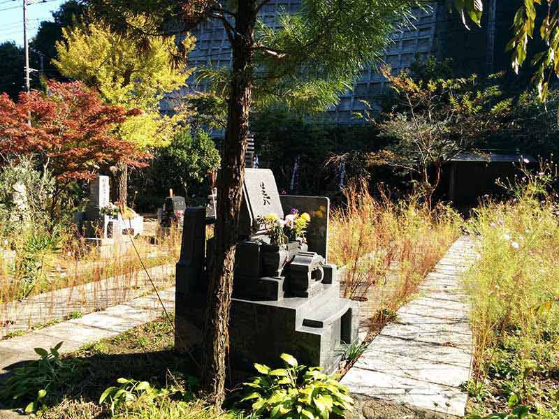 飯盛山仁王院 鎖大師青蓮寺　日当たりの良い墓域