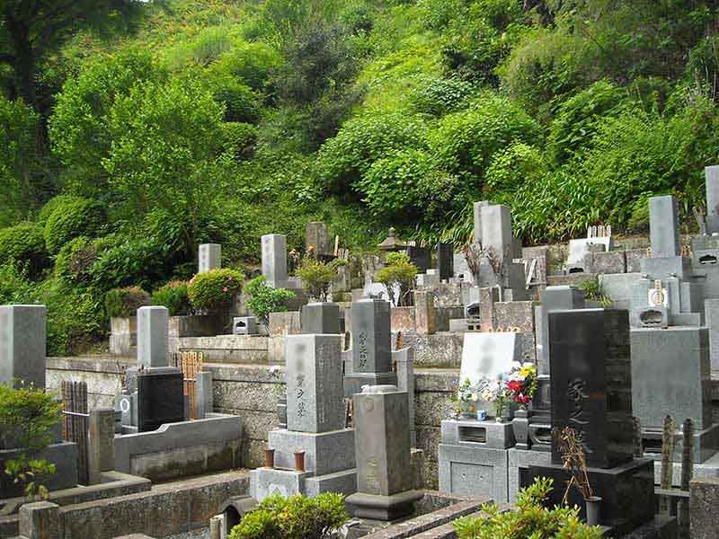 龍峰院　ひな壇状の墓域