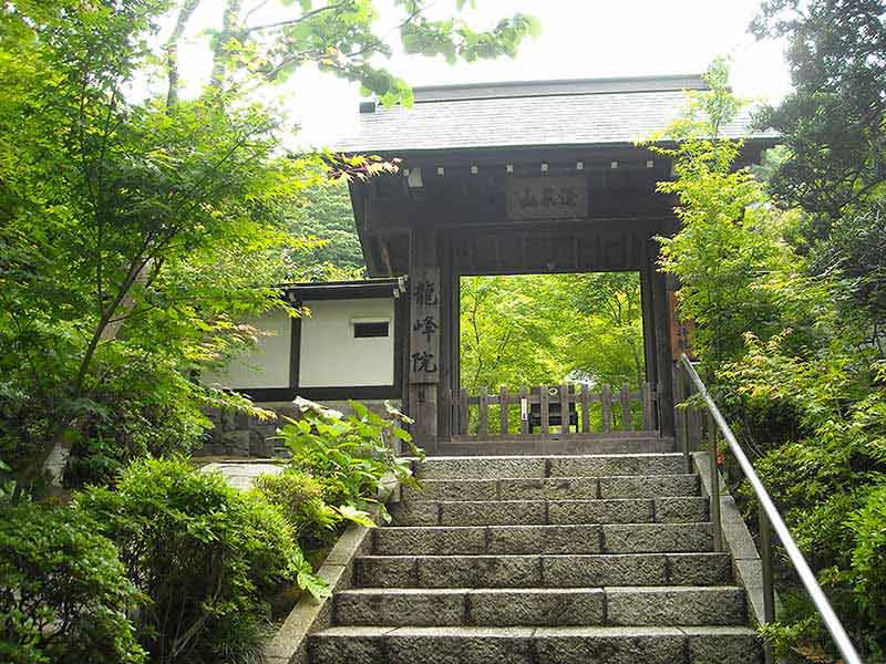 龍峰院　美しい緑に囲まれた山門