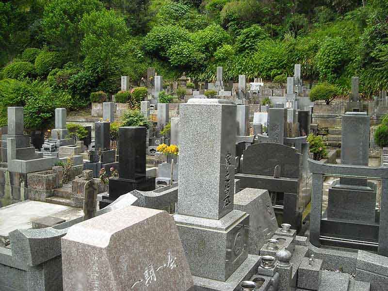 龍峰院　緑が美しい霊園風景
