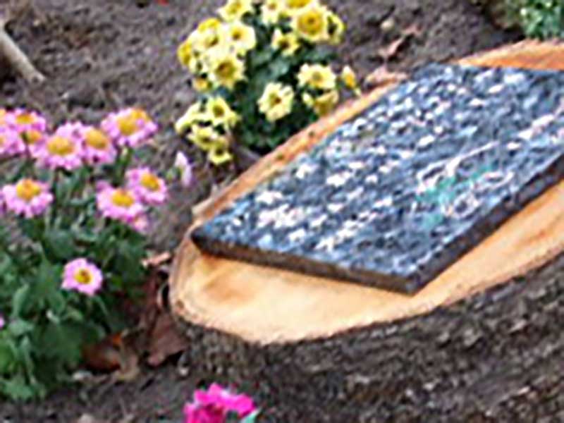 千の風 みらい園　樹木葬「希望」