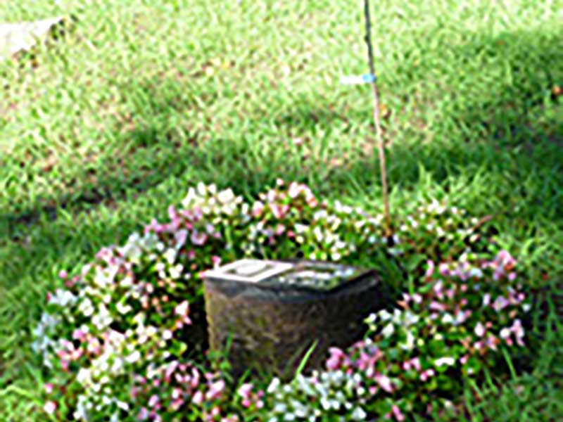 千の風 みらい園　樹木葬区画