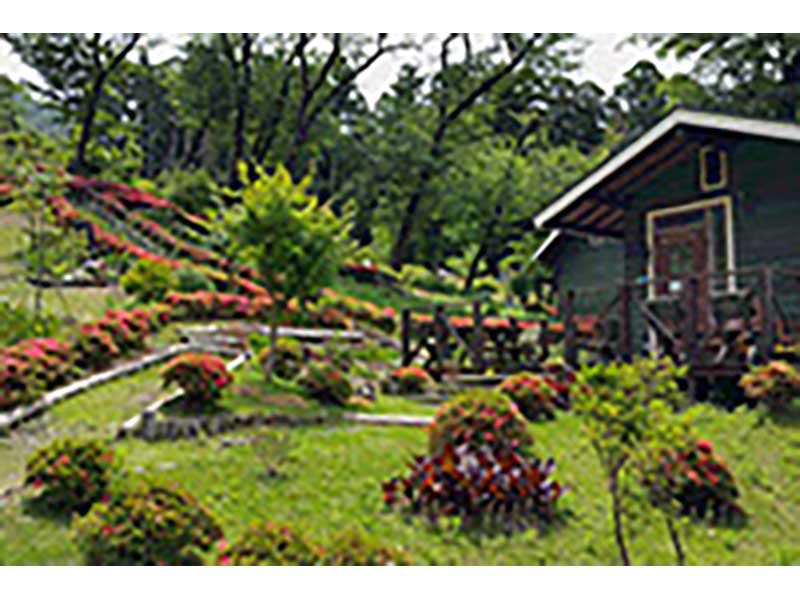 千の風 みらい園　緑が豊かな園内