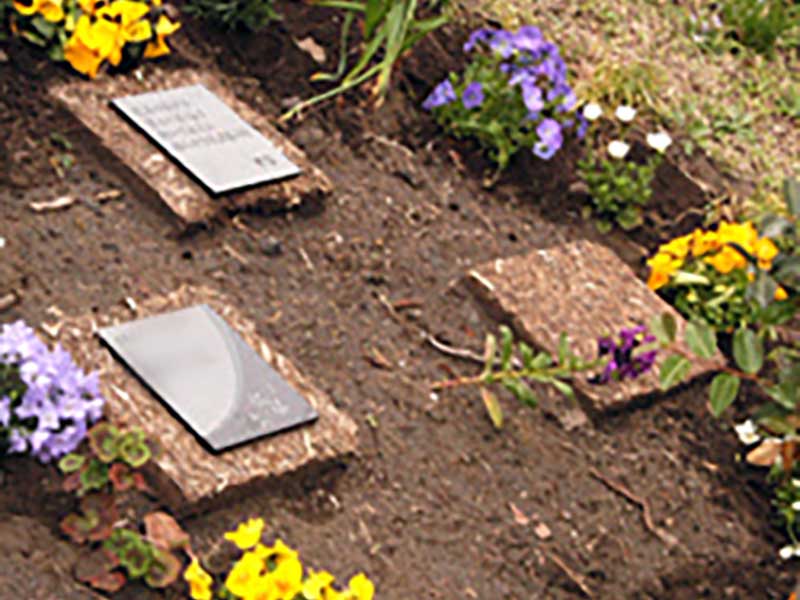 千の風 みらい園　個人葬「千の花」