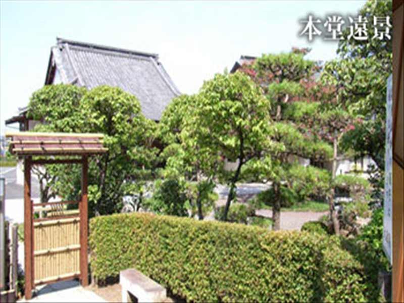 大蔵院　趣のある境内風景