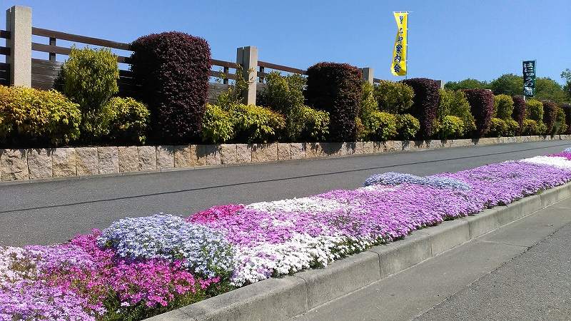 はにゅうの霊園　花壇のある参道
