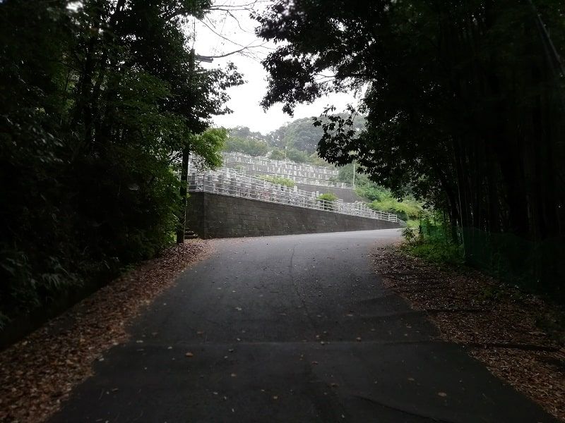 木々の間から見える御油霊園
