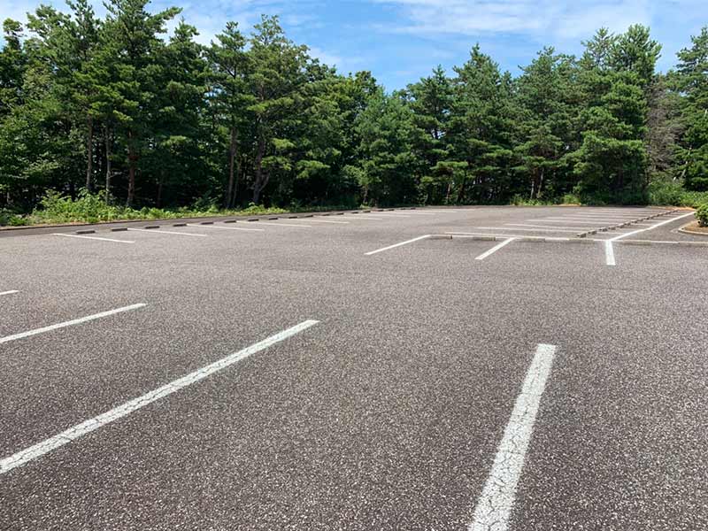 富山市営 大沢野墓地公園（あじさい園）