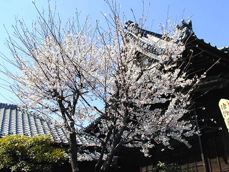 東陽寺