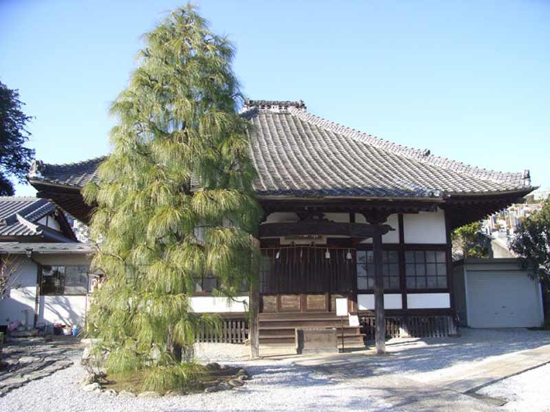 妙安寺　手入れされた植栽が美しい本堂