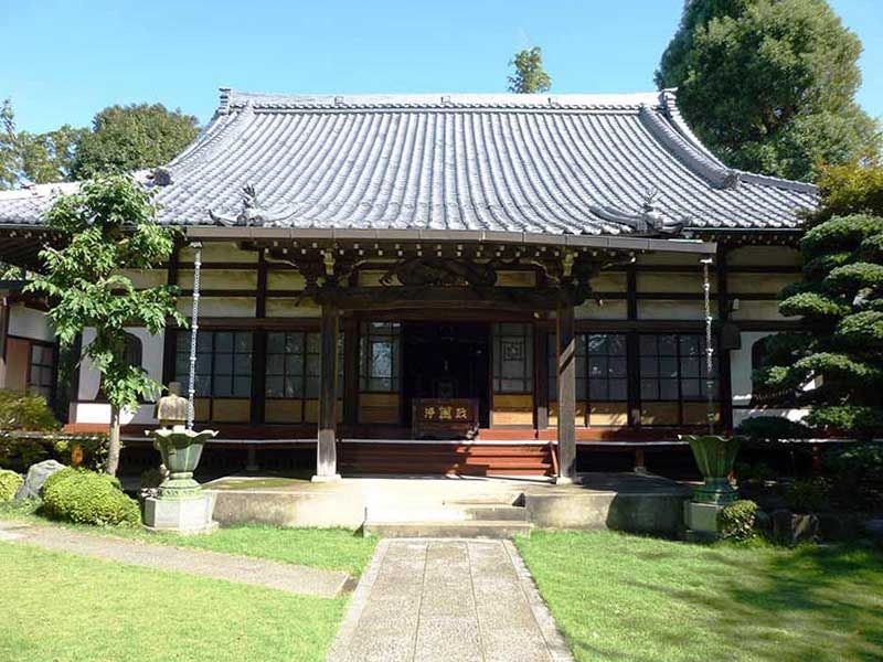 妙蓮寺　植栽に囲まれた本堂