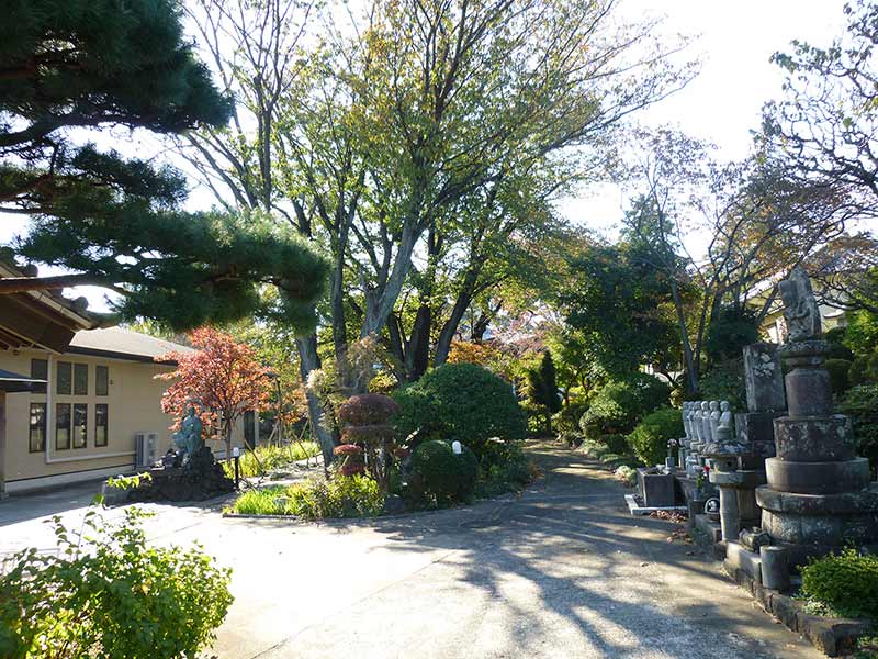 法雲寺　豊かな自然