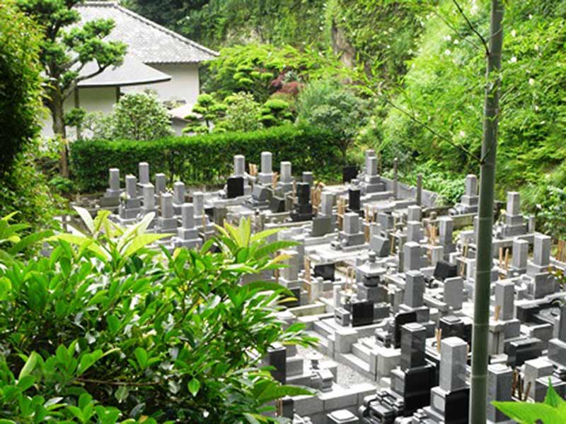 雲閑山 天源院　霊園全景