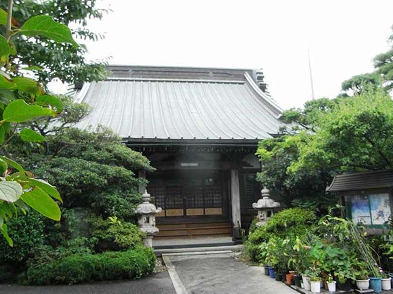 圓宗寺　植栽が鮮やかな本堂