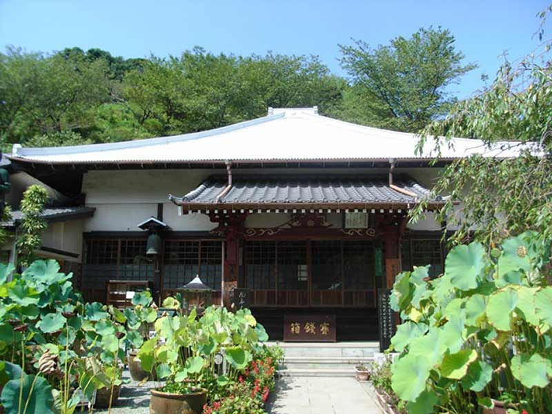 妙音寺　緑に囲まれた本堂