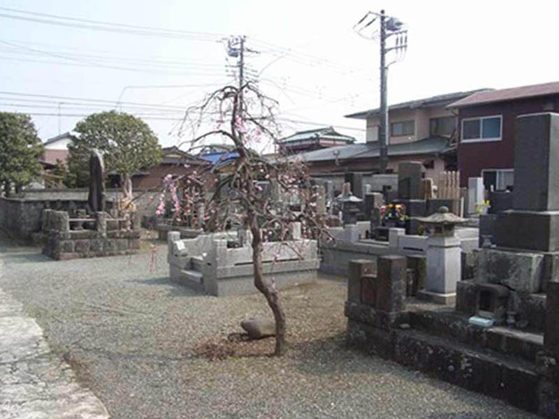 大経寺　広々とした墓域