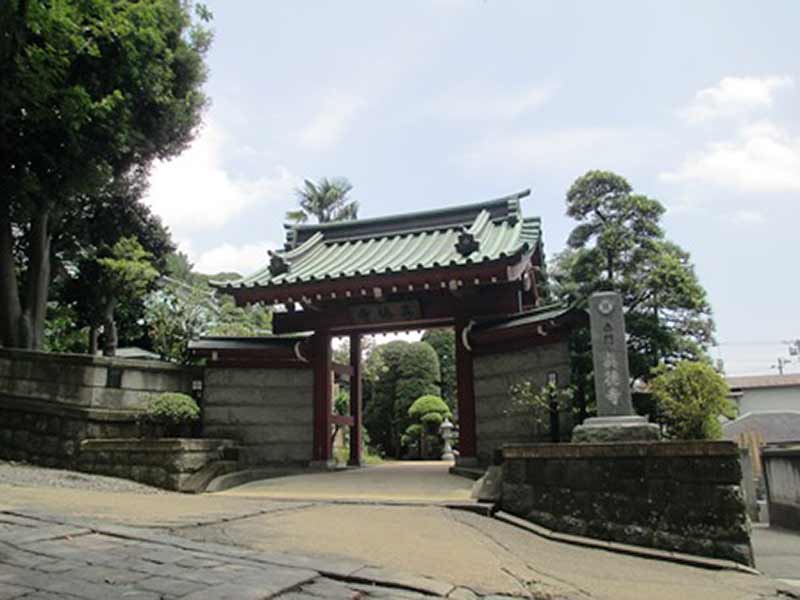 真徳寺　緑が豊かな山門