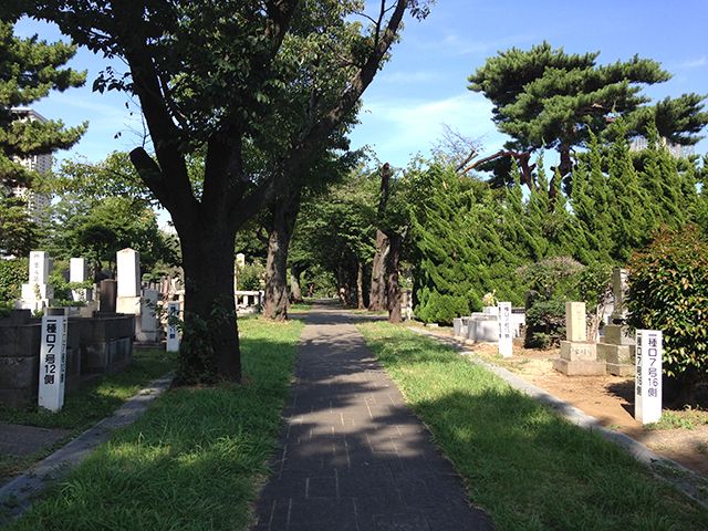 都立 青山霊園　自然に囲まれた参道