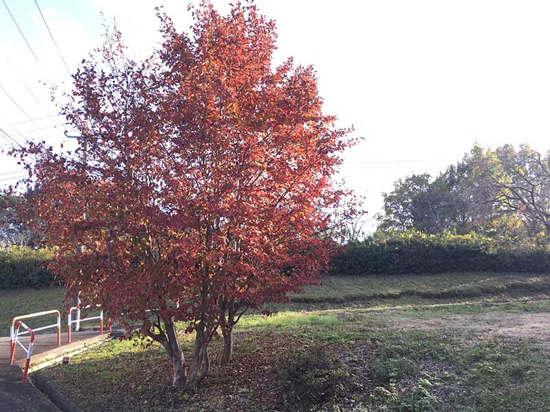 天久沢共同墓地