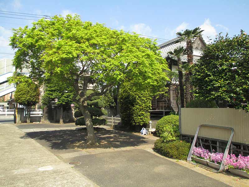 真言宗 豊山派 恵日山 観蔵寺