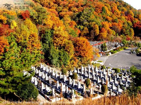 飯盛霊園　紅葉に包まれた園内