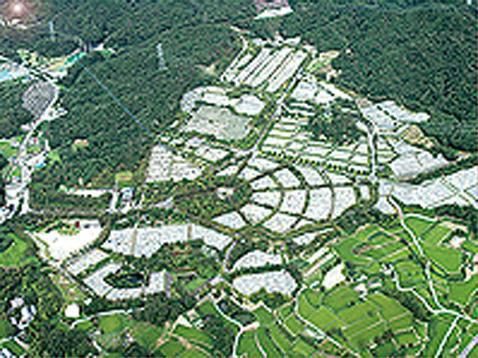 飯盛霊園　園内航空写真